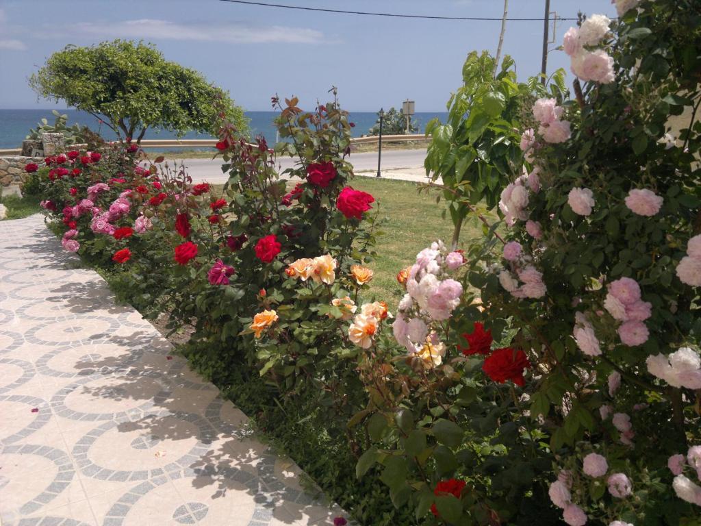 Asterina Seaside Apartments Kalyves Zewnętrze zdjęcie